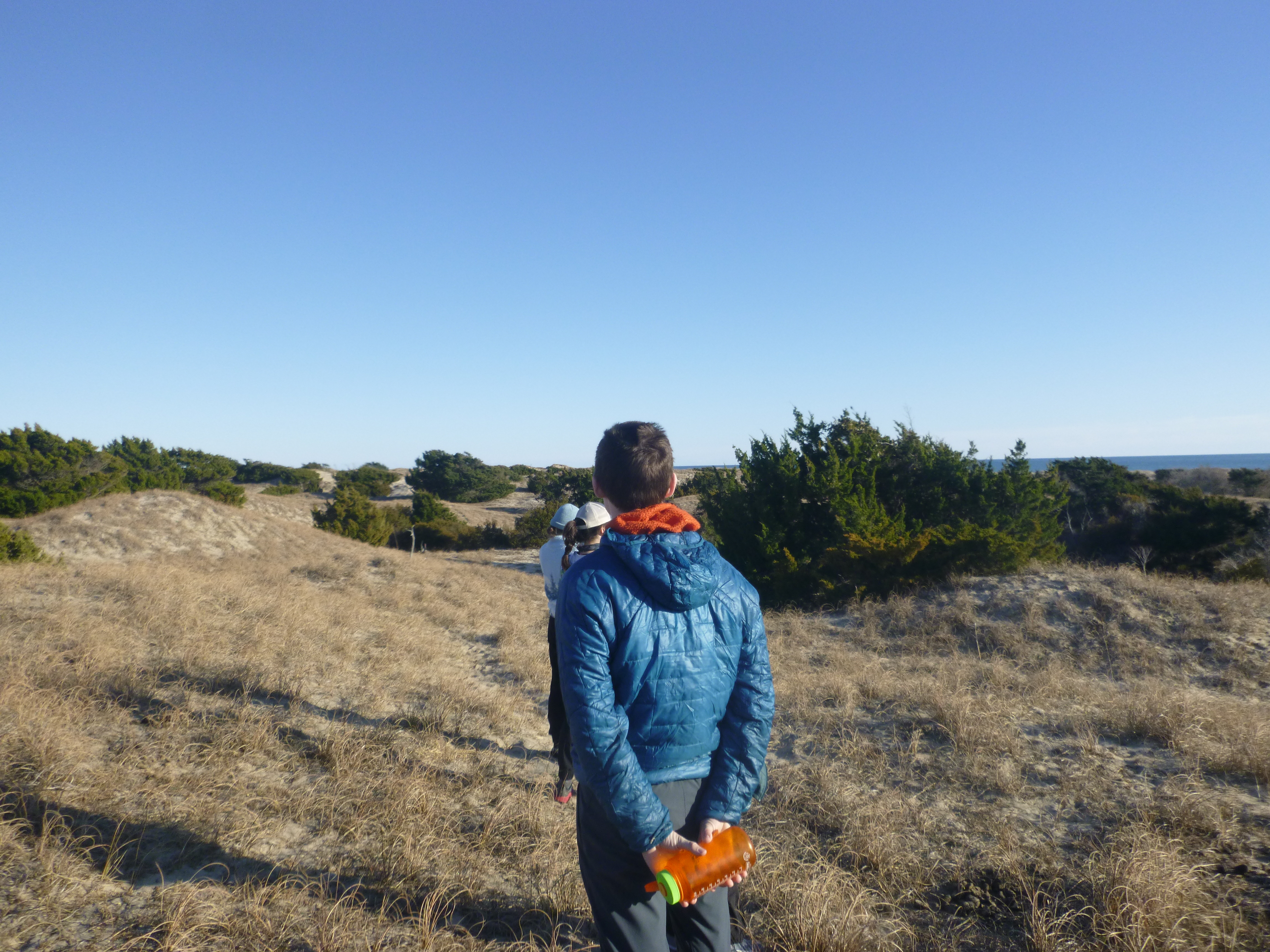 Staring off to the beack