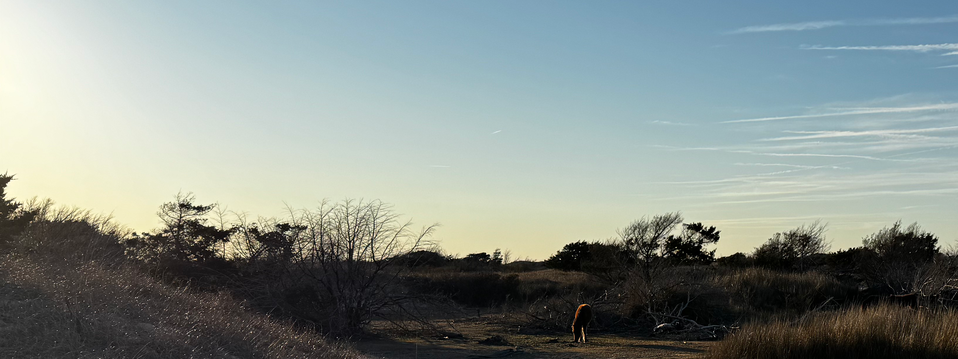 Wind blowing through sand dunes